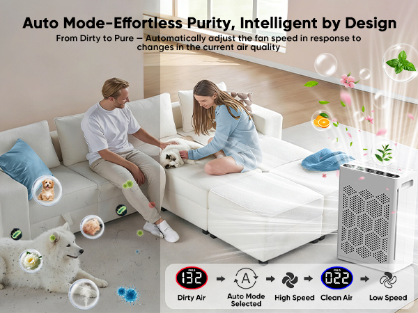air purifier with Auto mode