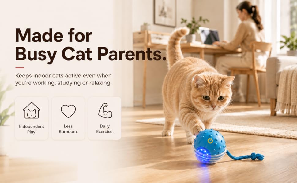 Cat playing with OUTDOLL interactive rolling toy while owner works in a bright home office.