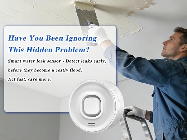 smart water leak detector