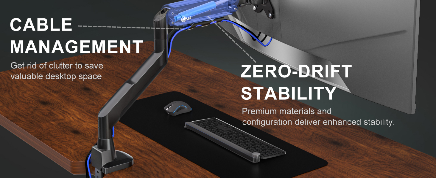 Monitor Arm GSM001XLN