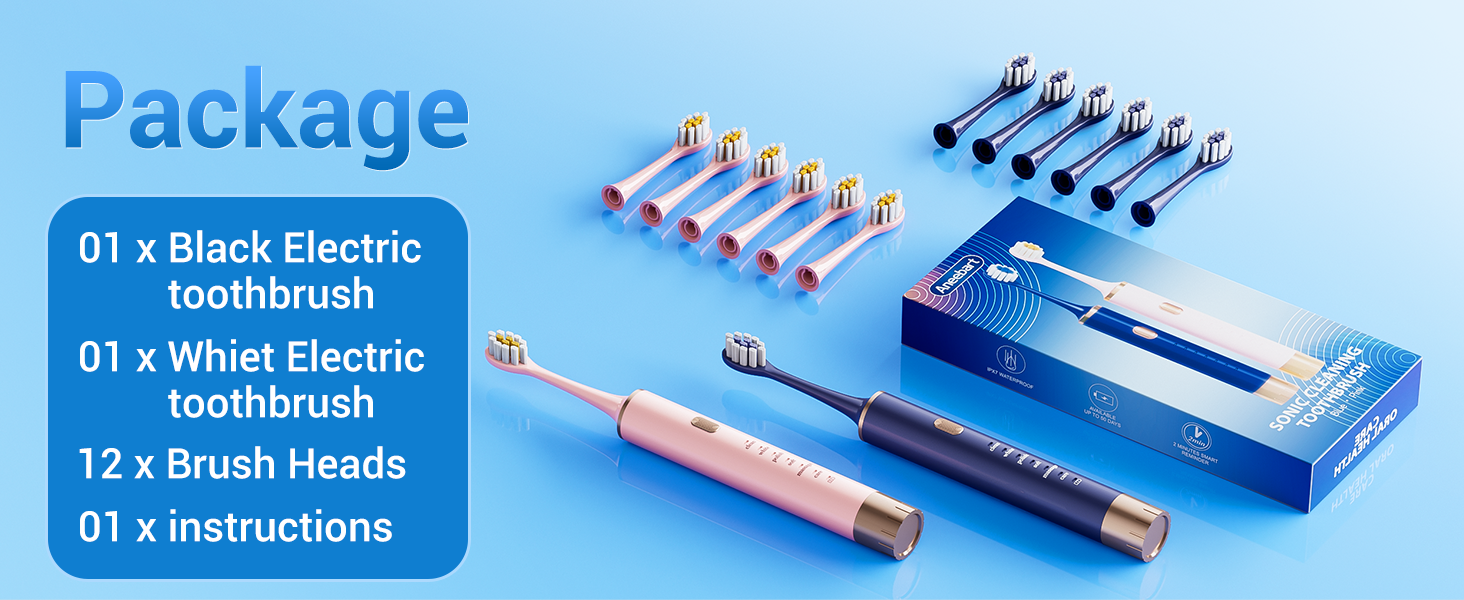 Blue &amp;amp; Pink Electric Toothbrush for Adults, USB Rechargeable Sonic Toothbrush with 12 Brush Heads