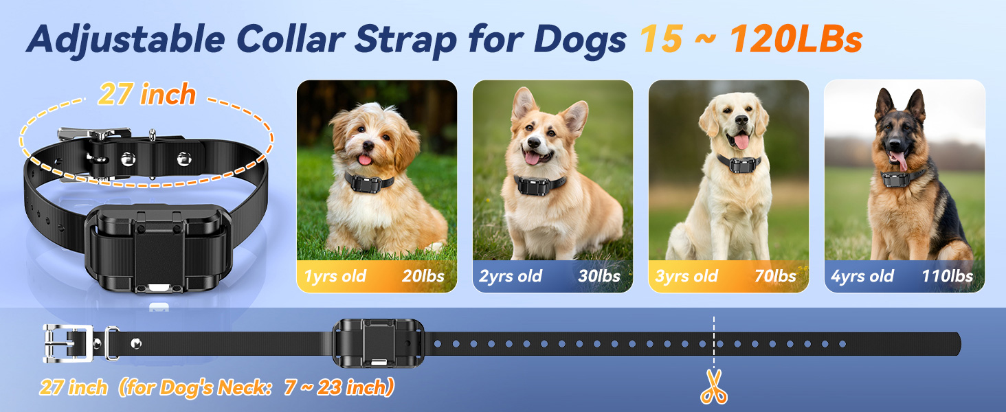Dog Shock Collar - 04