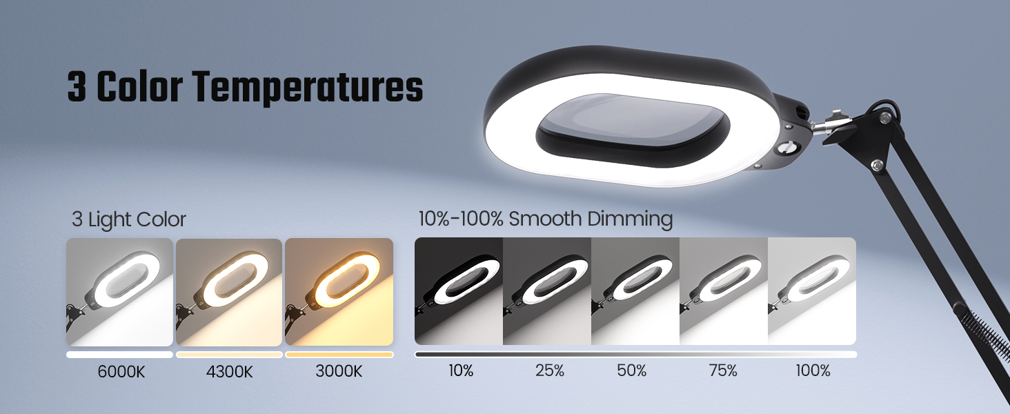 Magnifying Desk Lamp