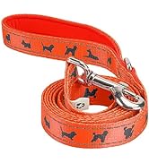 EcoBark Dog Leash - Soft &amp; Reflective Comfort Training Leashes with Padded Handle - Strong Durabl...