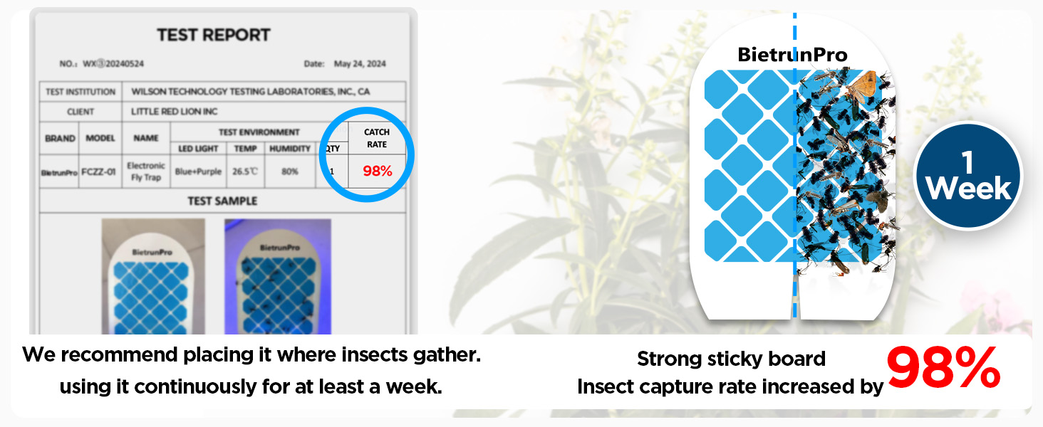 fruit fly traps for indoors gnat traps for house indoor gnat killer indoor fruit fly killer gnats