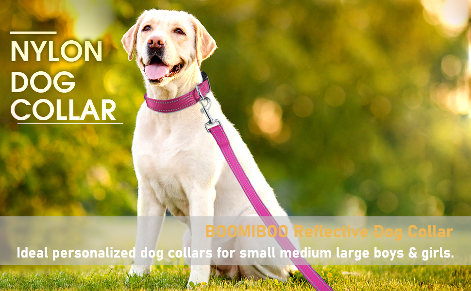 Nylon Heavy Duty Collar Padded Reflective Dog Collar with Adjustable Stainless Steel Hardware