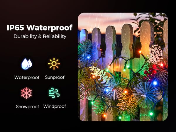 IP65 Waterproof