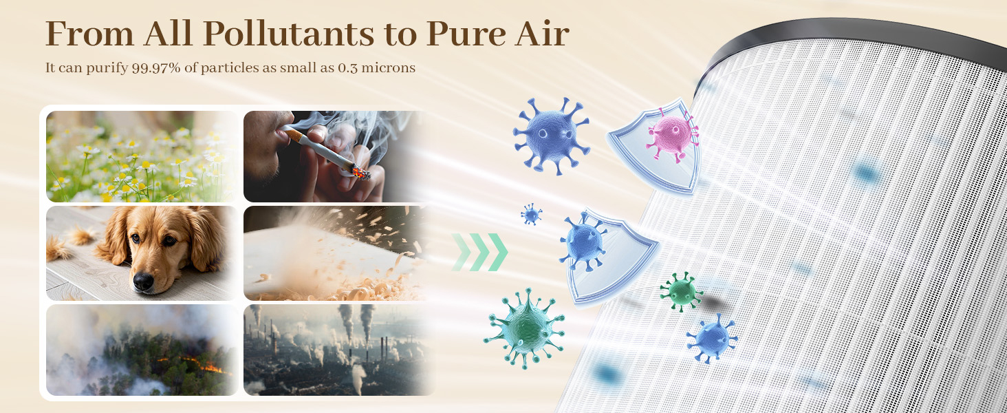 filters for air purifiers