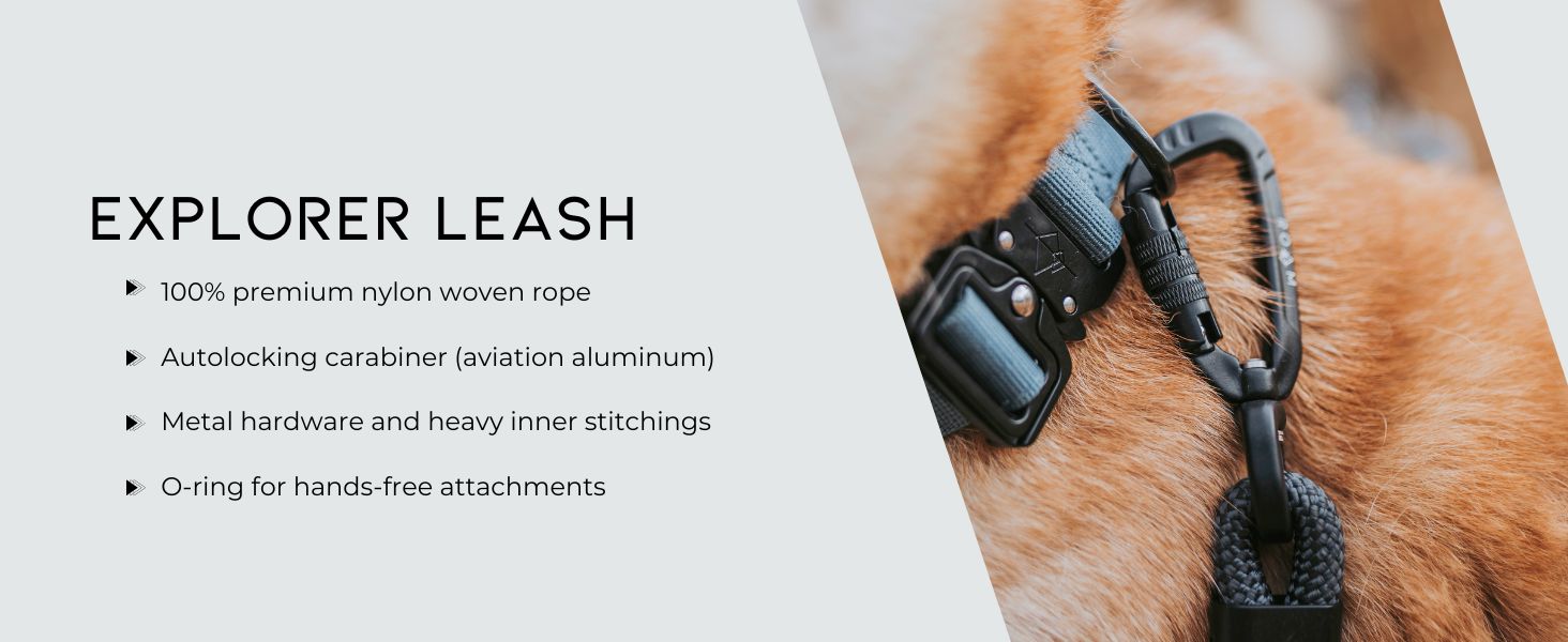 Explorer Leash