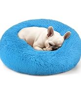 dog bed