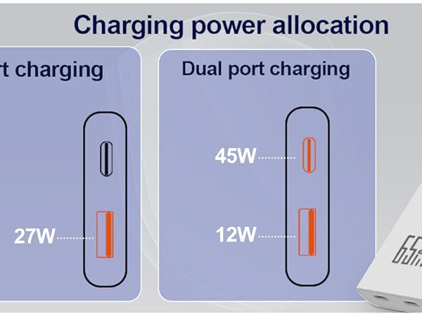 Dual Port