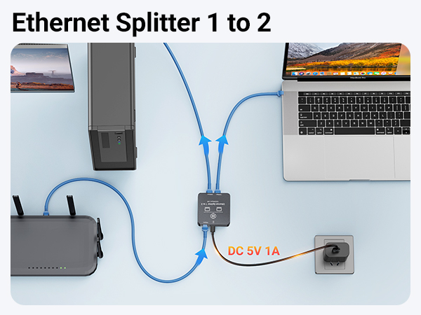 ethernet splitter 1 to 2