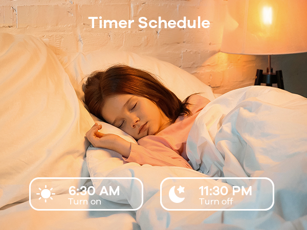 timer