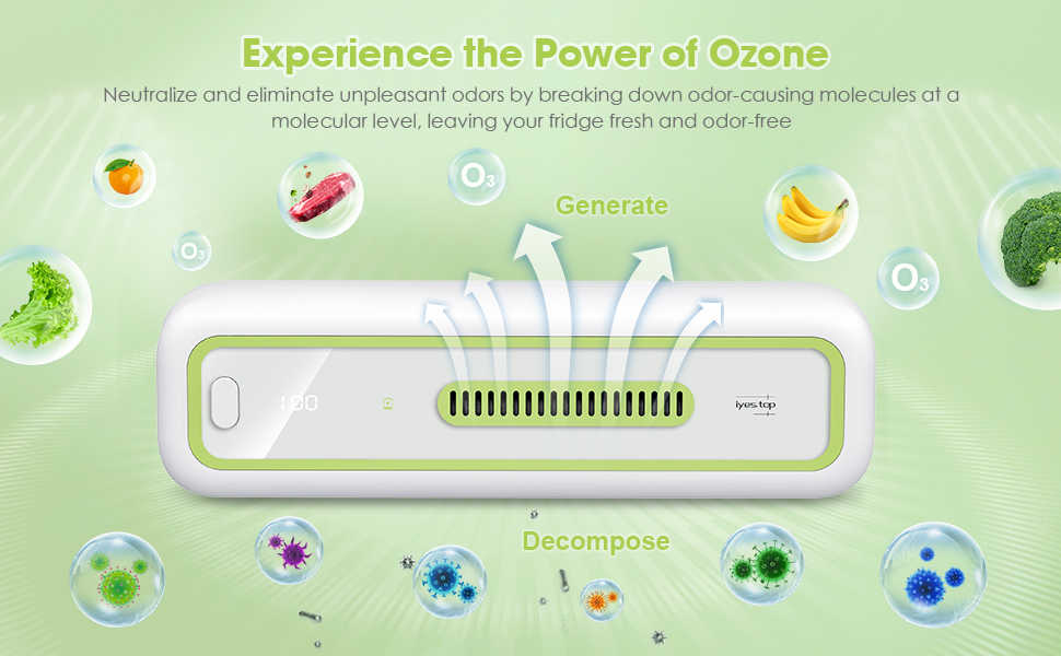 iyes.top Fridge Deodorizer