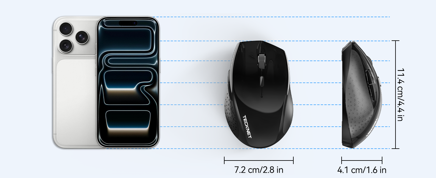 mouse