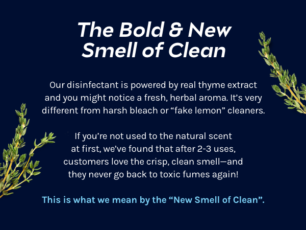 CleanBoss