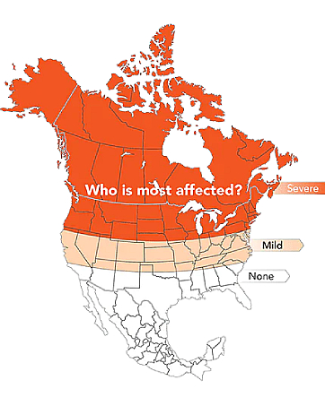 Boost your energy, improve your mood, and maintain your wellness