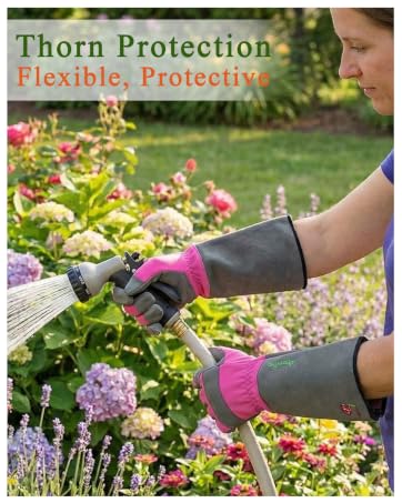 Woman gloves