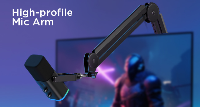 InnoGear mic arm