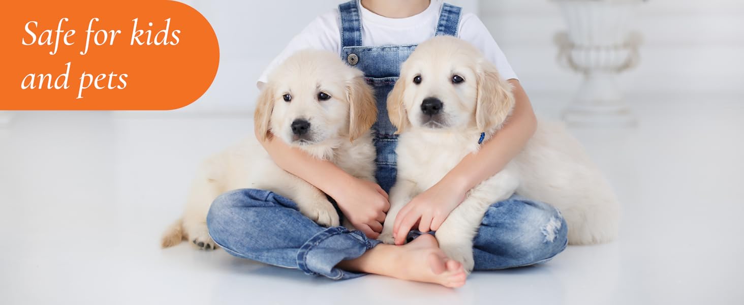 ESSENTIAL OIL PLUG IN WATERLESS DIFFUSER AROMA SCENT DIFUSOR LAVENDER HOTEL DESIGNER SCENTSATION