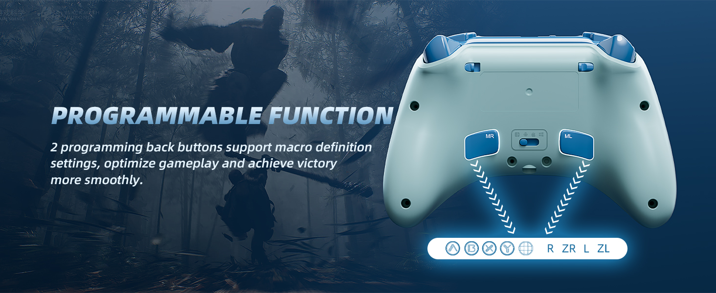 PROGRAMMABLE FUNCTION