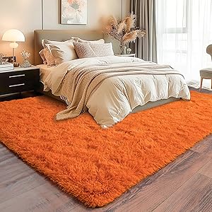 Bedroom Rug