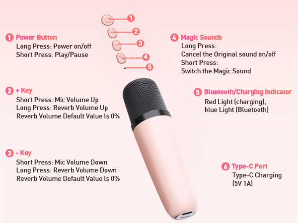 Portable Karaoke Machine