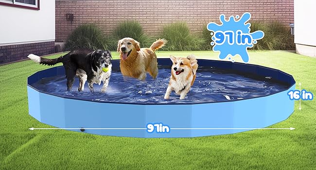 large dog pool