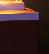 Solar Flame Post Lights