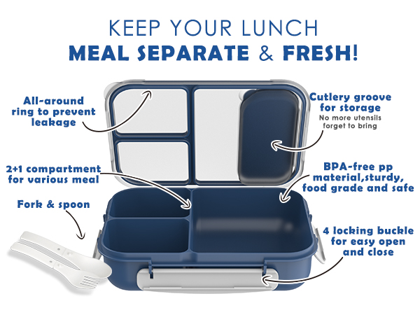 Large Capacity Bento Box for Adult