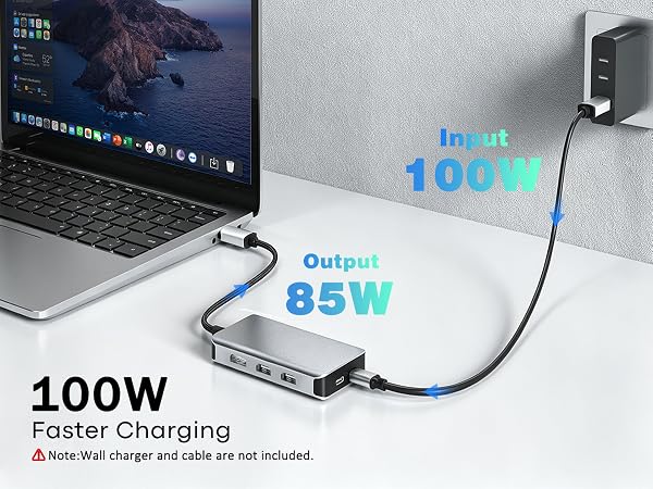 Docking Station Dual Monitor