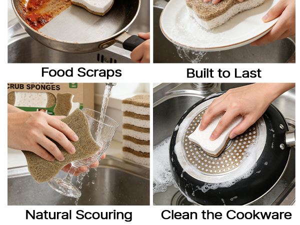 kitchen dish sponges