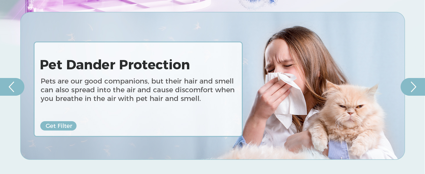 air purifier