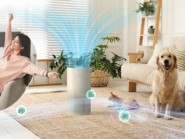 air purifier for home pets