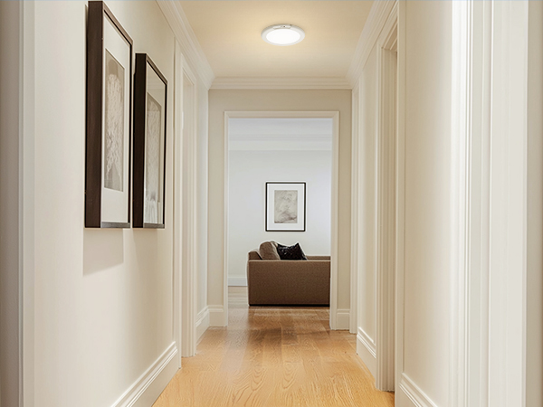 Battery Operated Ceiling Light