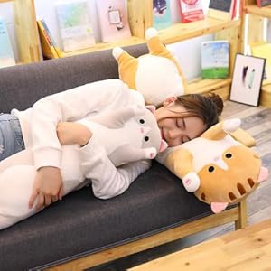 cat plushie
