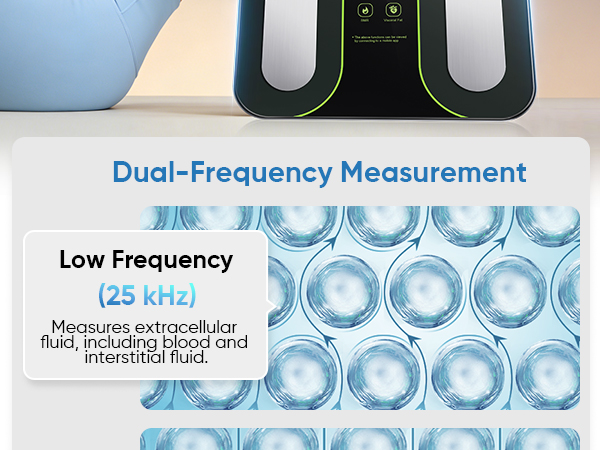 scale for body weight