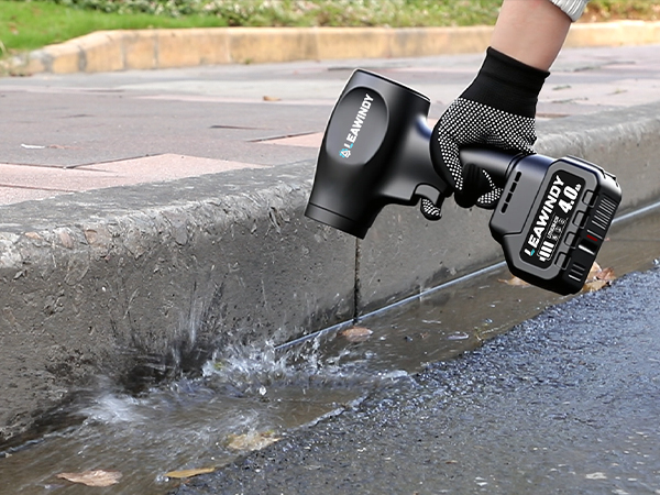 Electric Leaf Blower