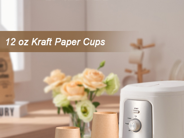 paper cups 12 oz