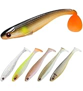 TRUSCEND 2025 Top Soft Fishing Lures for All Species of Fish, Selected Fishing Gifts for Men, Wid...