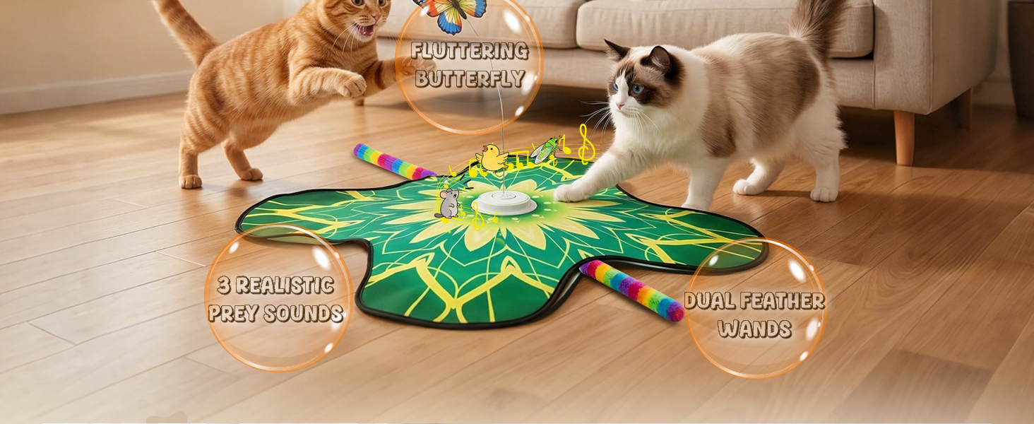 interactive cat toy