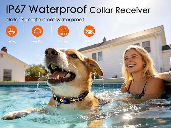training collar for medium dogs
