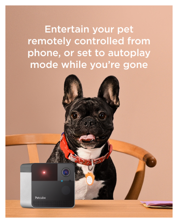 Petcube Play2