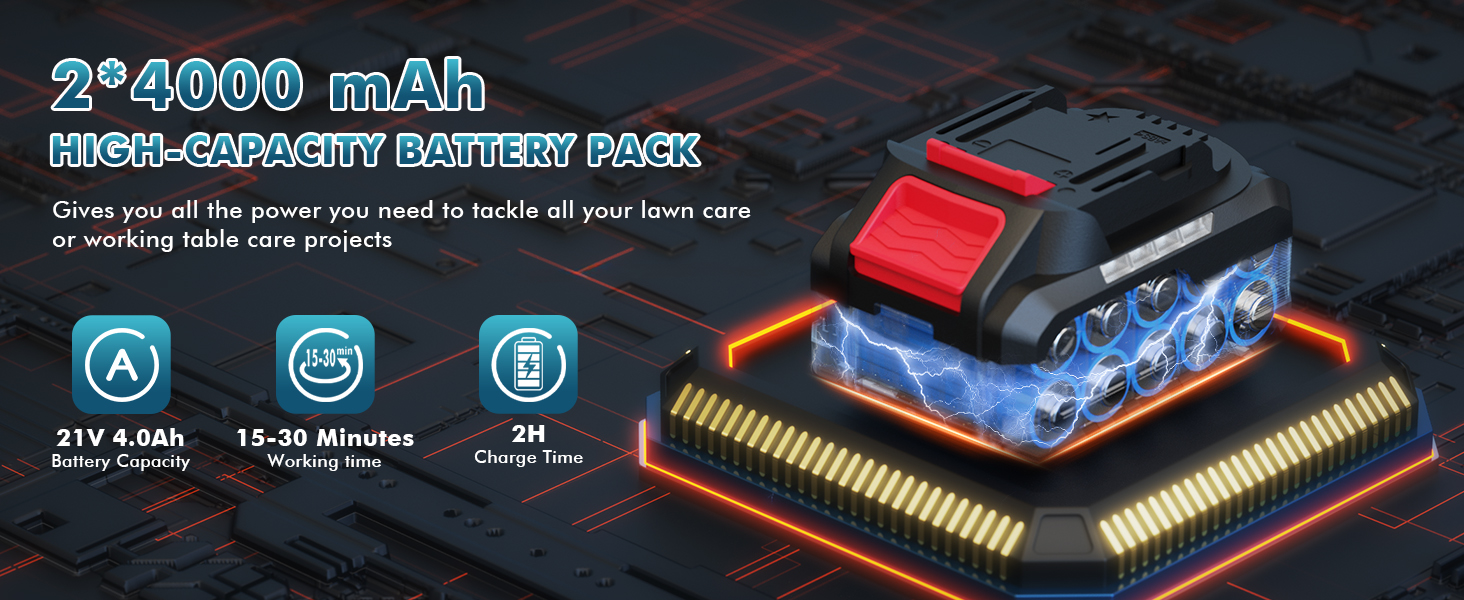 Leaf Blower with 2 Batteries and Charger