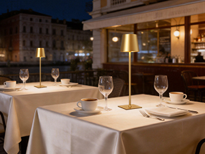 battery operated table lamps