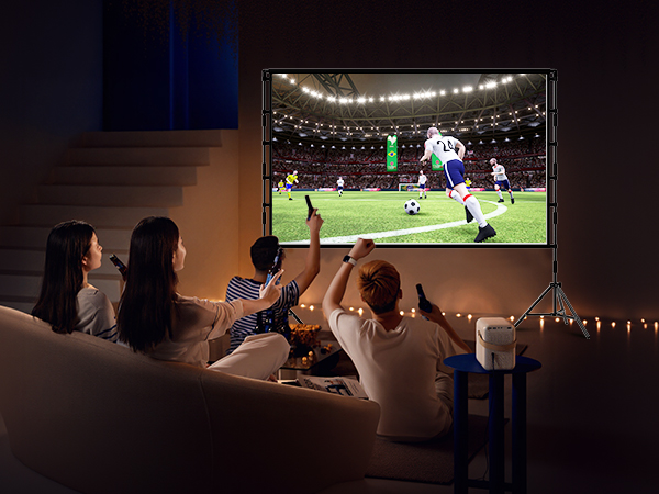 Projector Screen and Stand