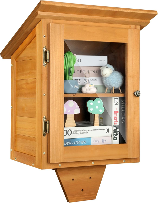 Little Library Box Outdoor Free Library, Double Outdoor Library Book Box Storage with Shelf for Neighborhoods, Community, Schools Sharing Books, Literature, Flyers, Newspapers Art