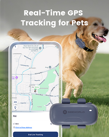 dog gps tracker