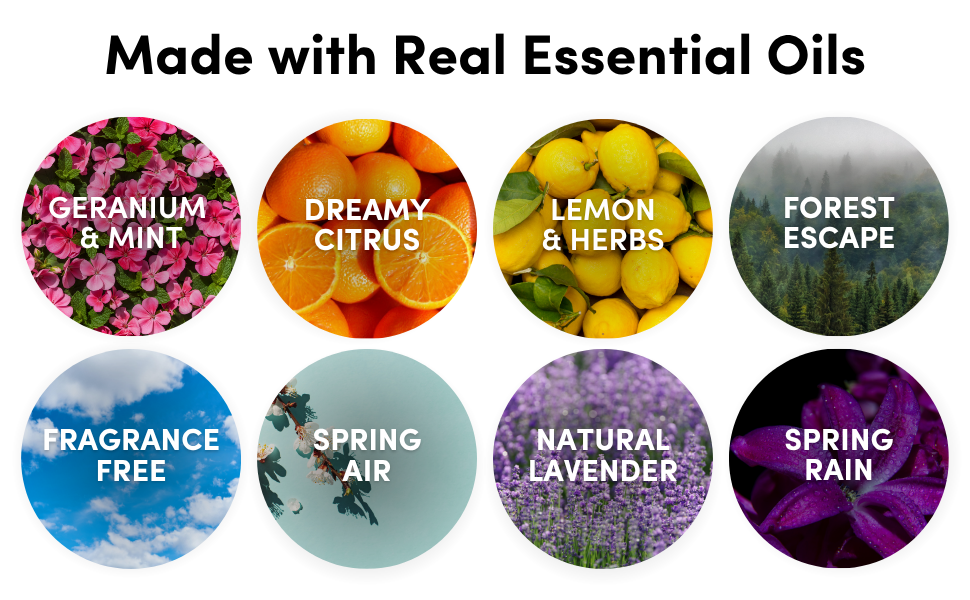Eight fragrance swatches