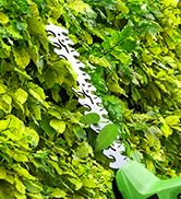 WORKPRO 20V Cordless Grass Shear &amp; Shrubbery Trimmer-2 in 1 Handheld Hedge Trimmer, Electric Gras...